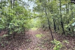 0 Fallaw Road photo 4