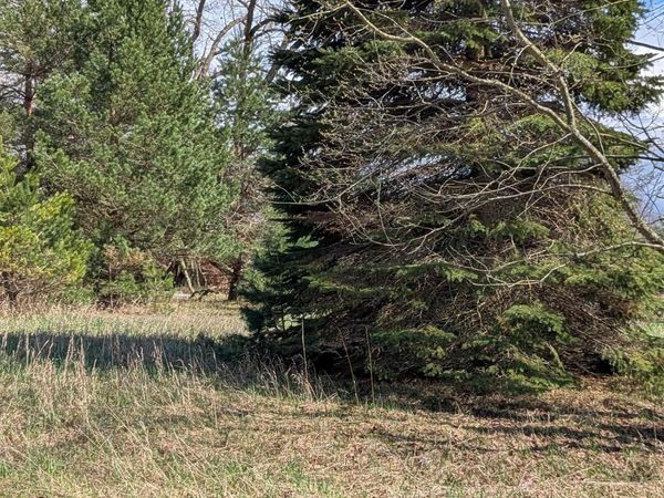 1007 Kent Street, Lake Isabella, MI 48893