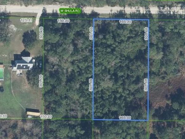 2937 W SHULA ROAD, AVON PARK, FL 33825