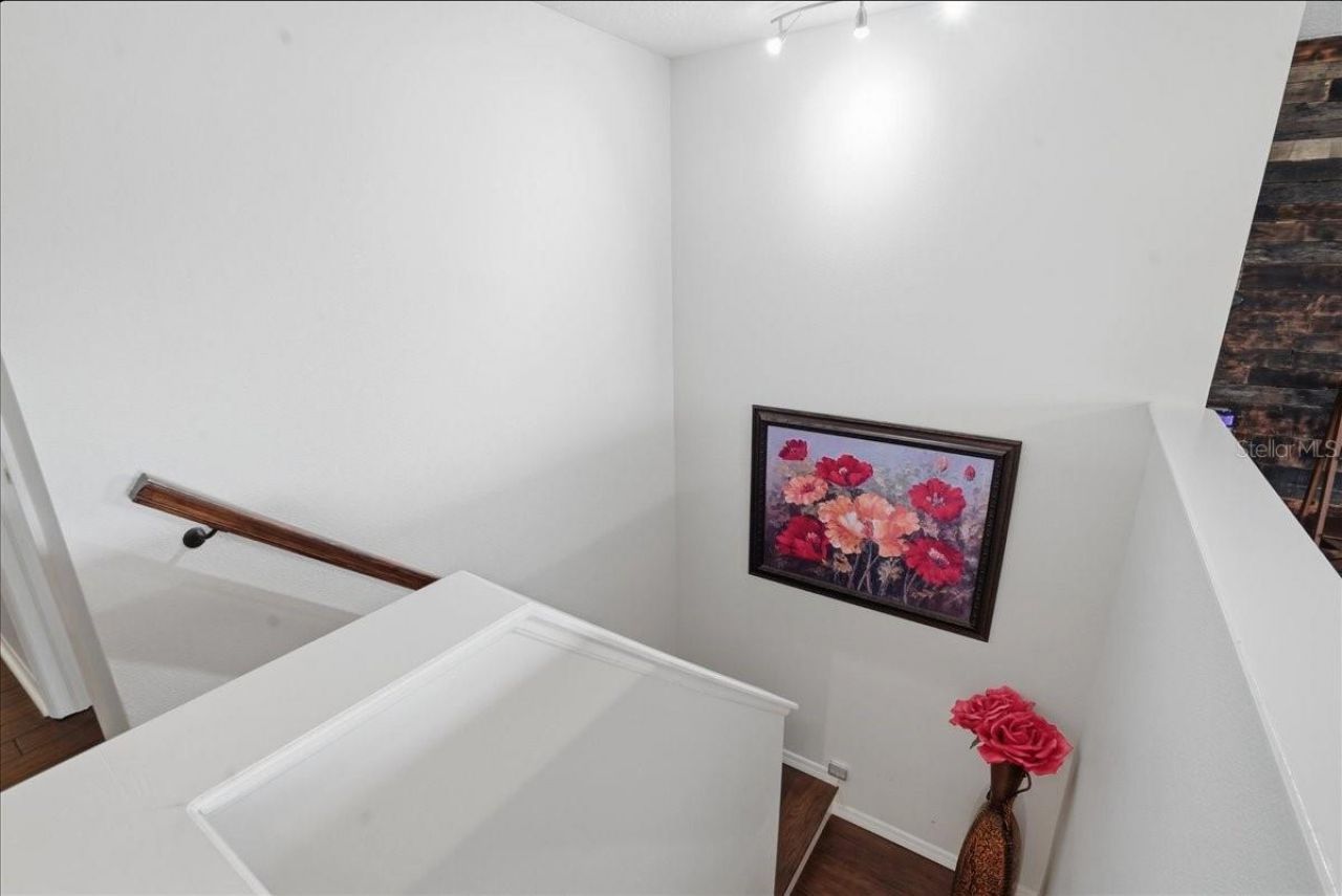 7860 Atwood Drive, Wesley Chapel, FL 33545 Photo