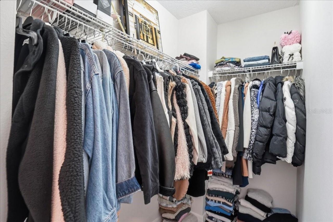 7860 Atwood Drive, Wesley Chapel, FL 33545 Photo