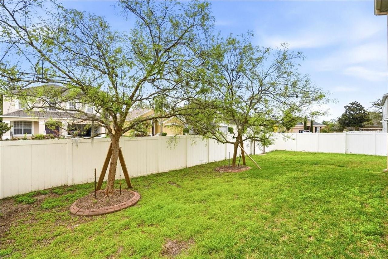 7860 Atwood Drive, Wesley Chapel, FL 33545 Photo