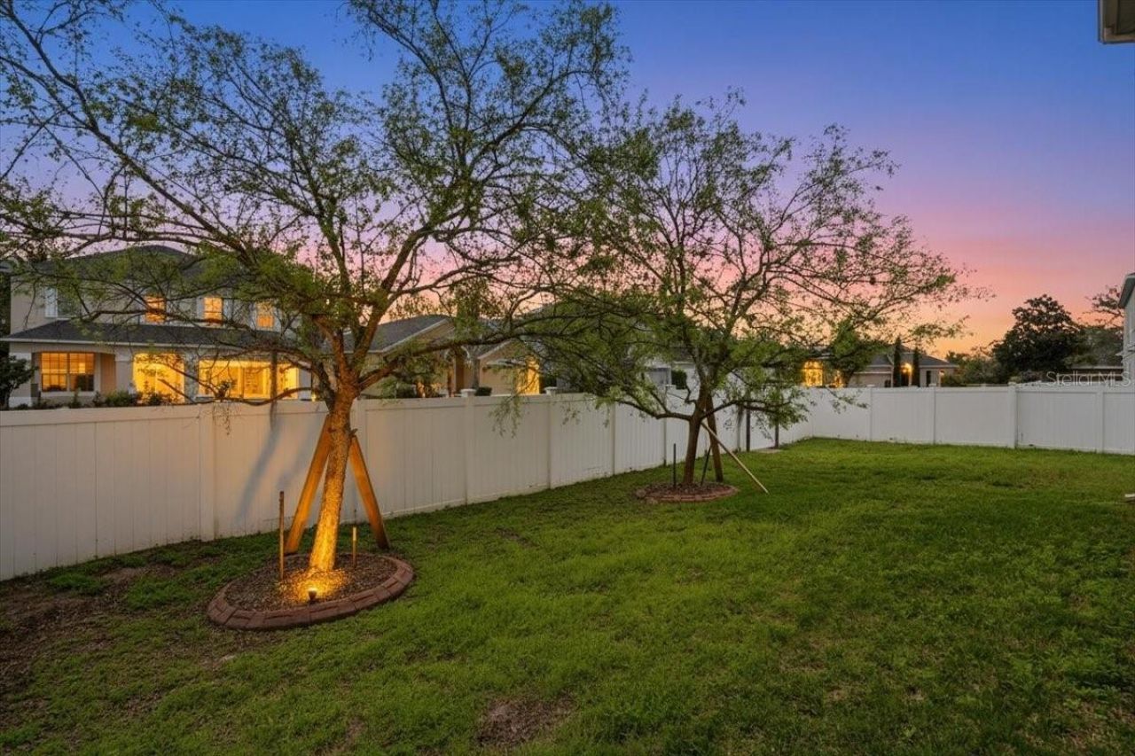 7860 Atwood Drive, Wesley Chapel, FL 33545 Photo