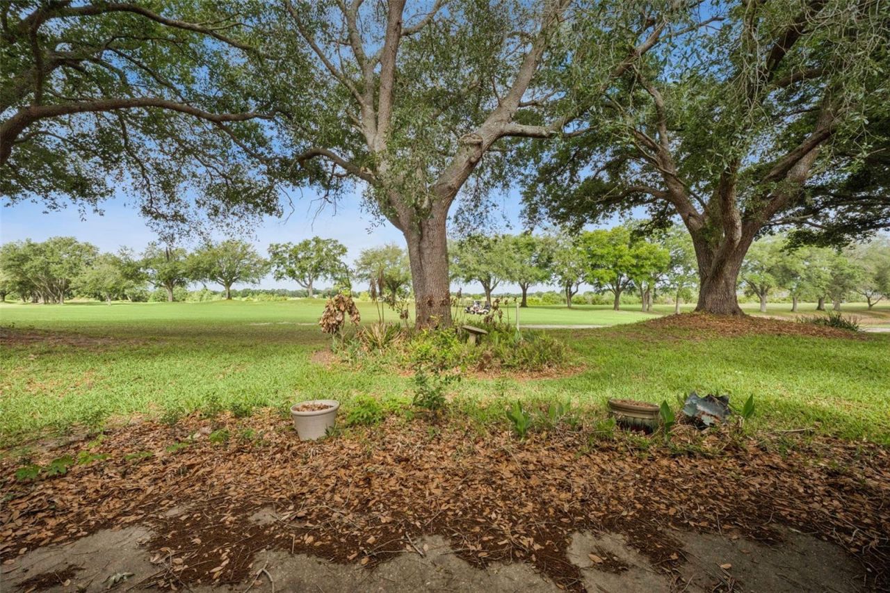 21733 Royal St Georges Lane, Leesburg, FL 34748 Photo