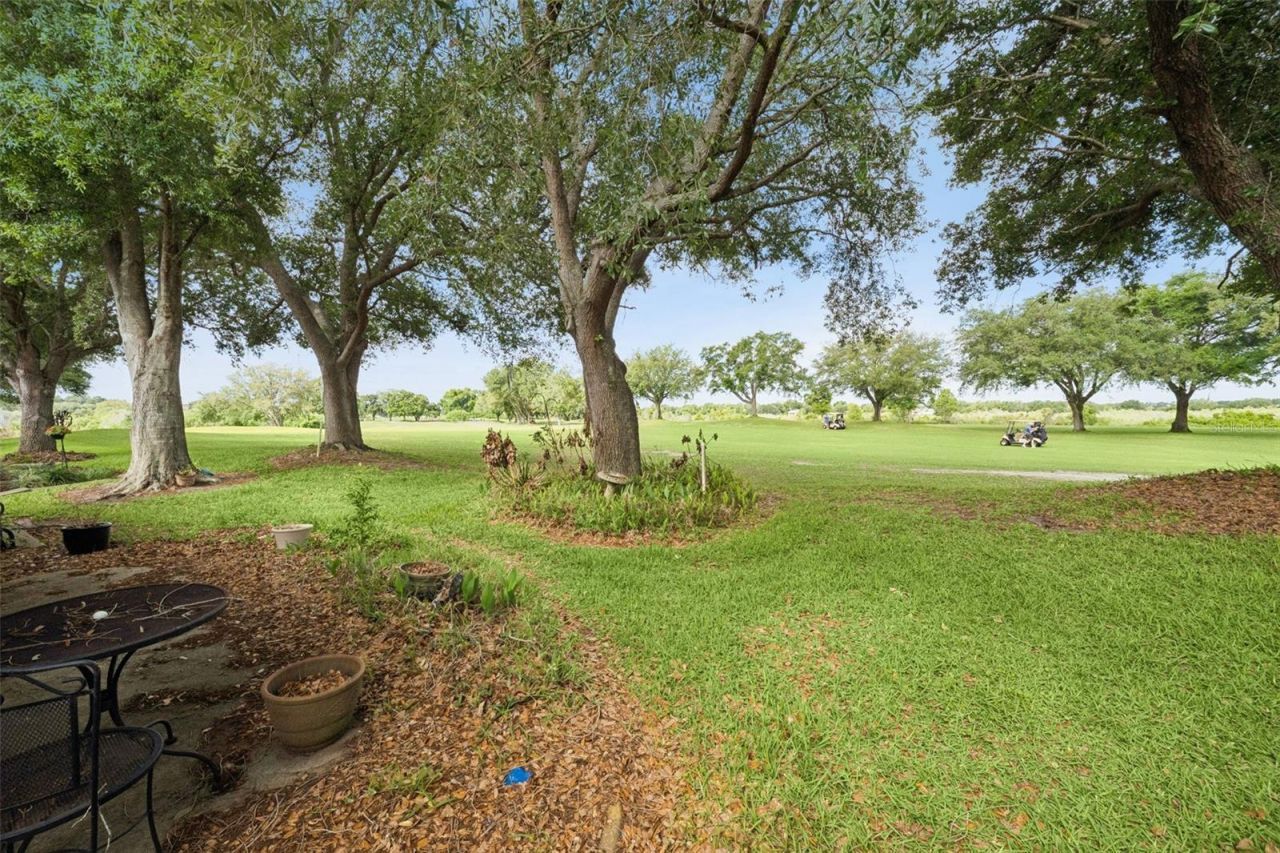 21733 Royal St Georges Lane, Leesburg, FL 34748 Photo