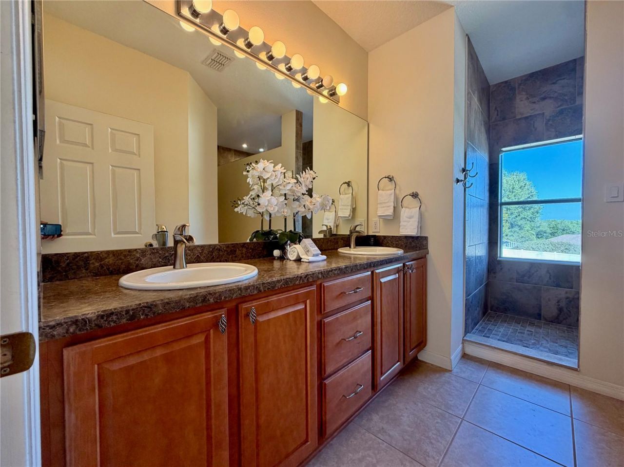 25012 Chipshot Court, Sorrento, FL 32776 Photo