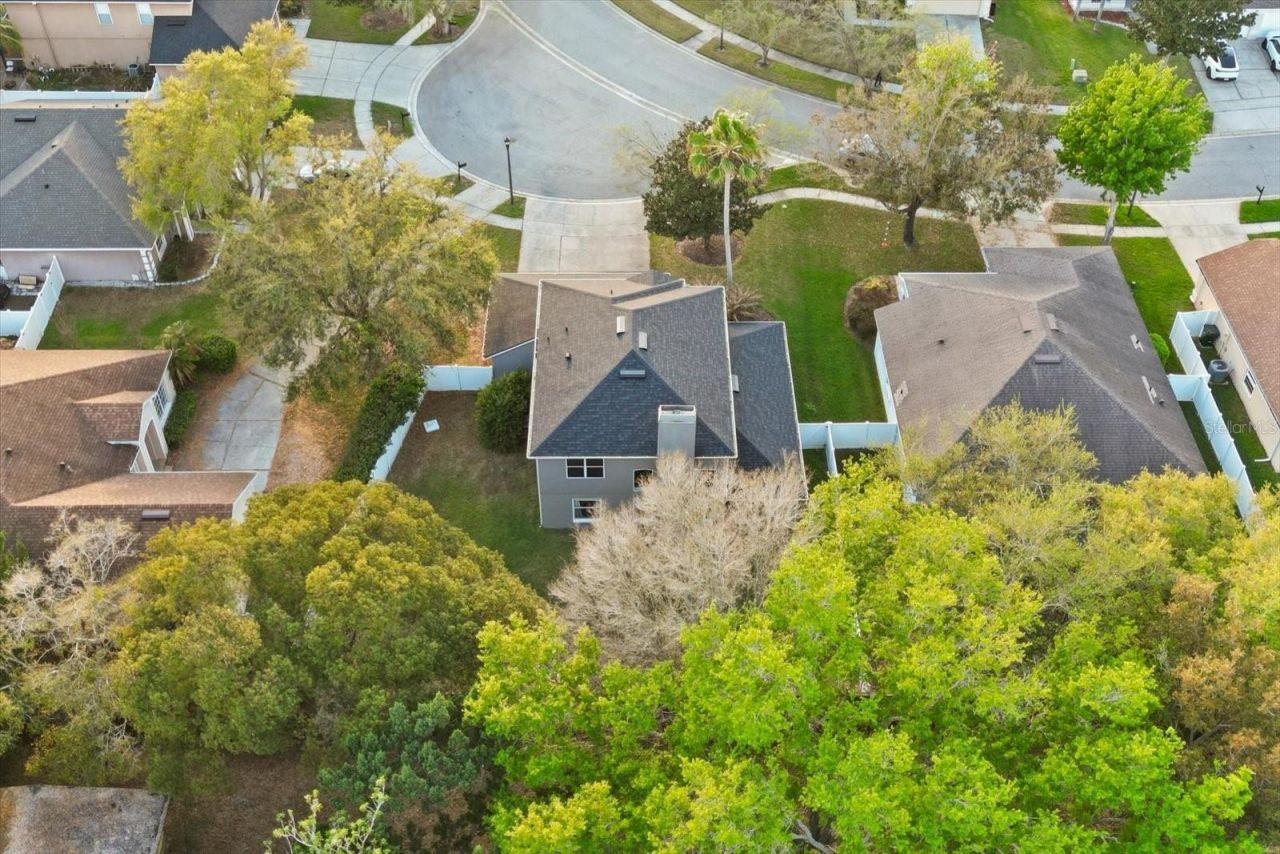 248 Longhirst Loop, Ocoee, FL 34761 Photo