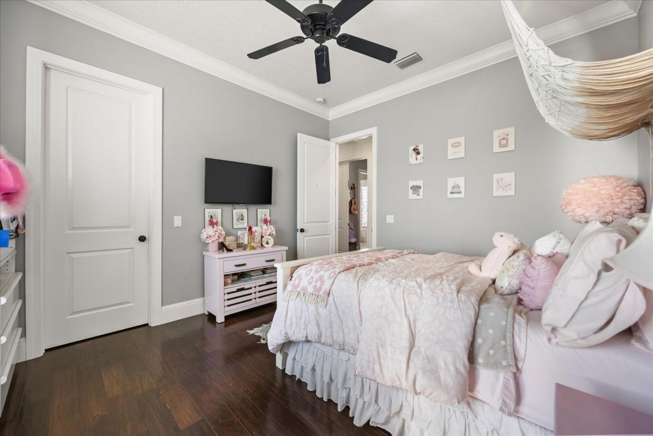 12411 Montalcino Circle, Windermere, FL 34786 Photo