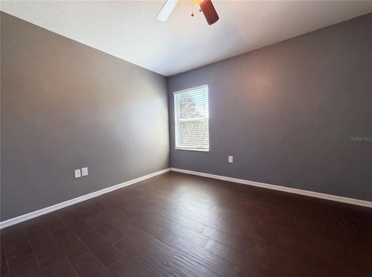 12437 Field Point Way, Spring Hill, FL 34610 Photo