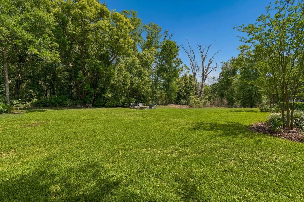 17001 Midas Lane, Lutz, FL 33549 Photo