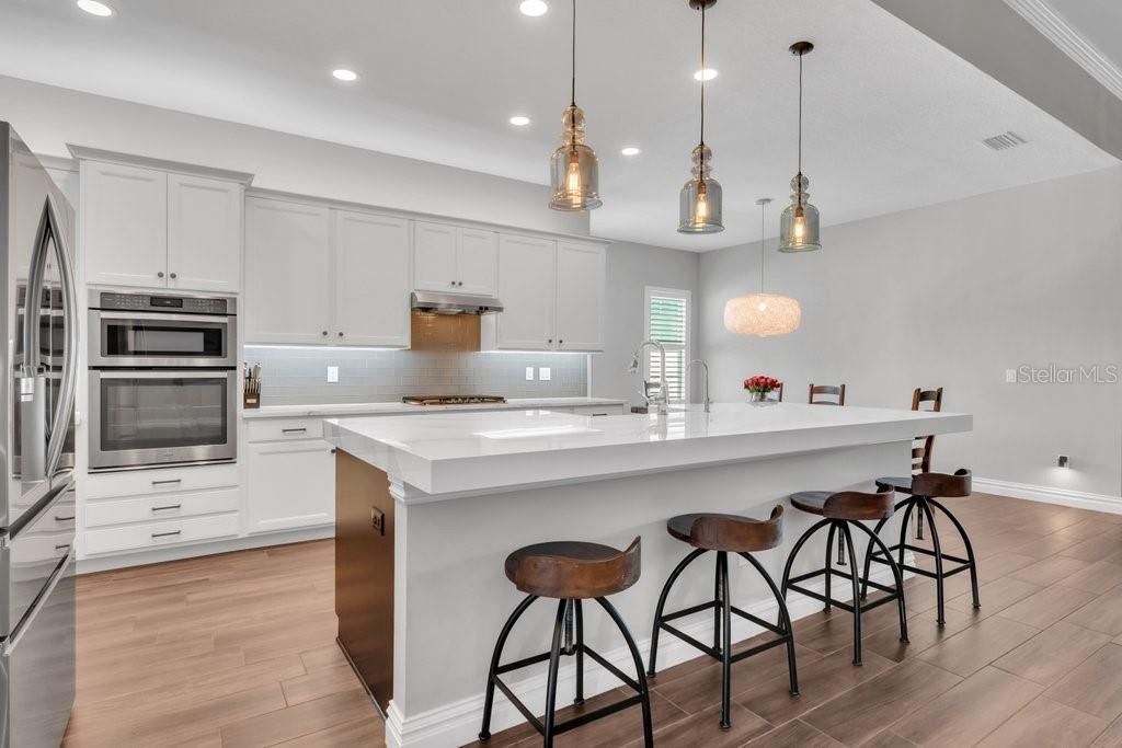 14908 Bassinger Lane, Lithia, FL 33547 Photo