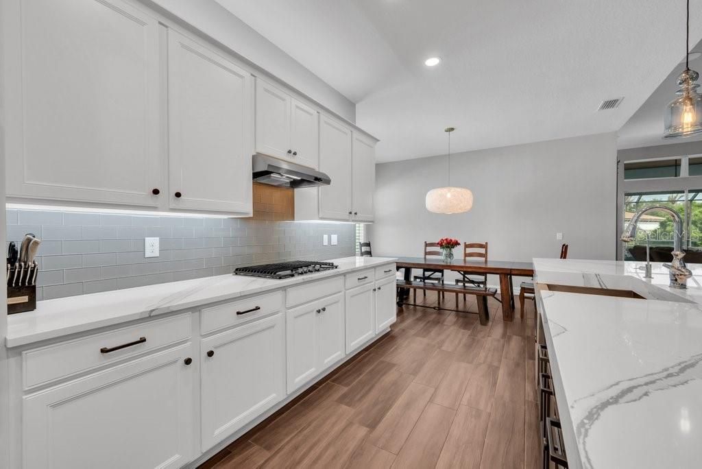 14908 Bassinger Lane, Lithia, FL 33547 Photo