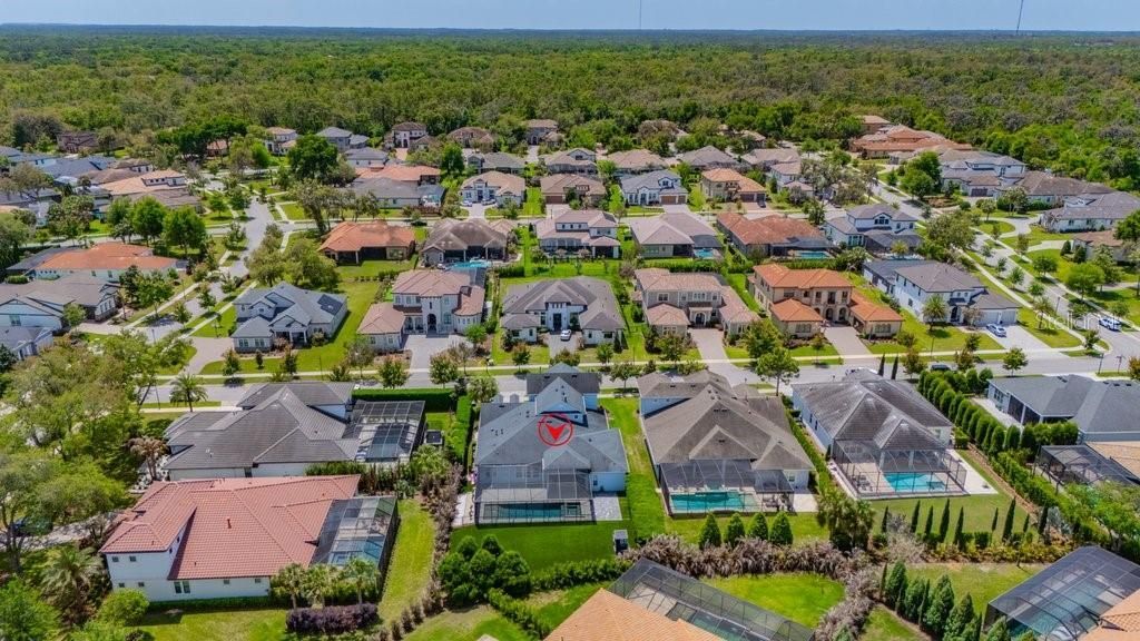 14908 Bassinger Lane, Lithia, FL 33547 Photo