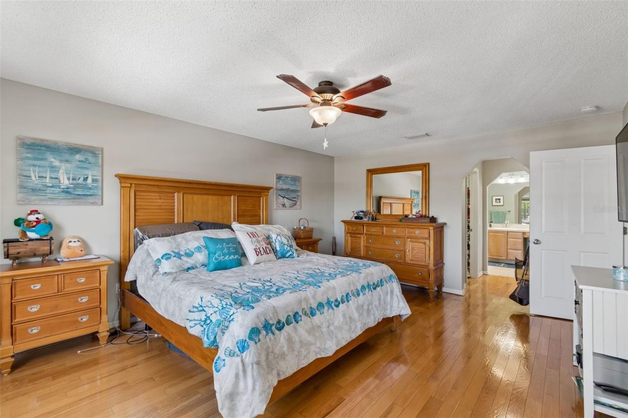 6211 Bayside Drive, New Port Richey, FL 34652 Photo