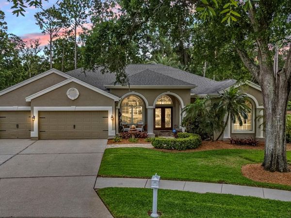 3596 FLORIAN TERRACE, PALM HARBOR, FL 34685