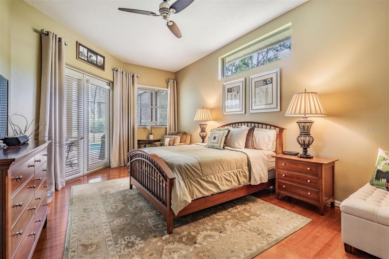 3596 Florian Terrace, Palm Harbor, FL 34685 Photo