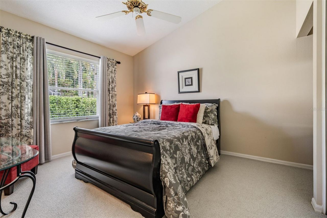 3596 Florian Terrace, Palm Harbor, FL 34685 Photo