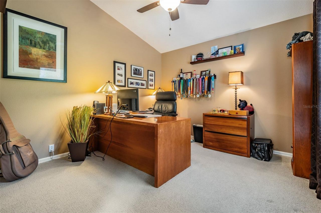 3596 Florian Terrace, Palm Harbor, FL 34685 Photo