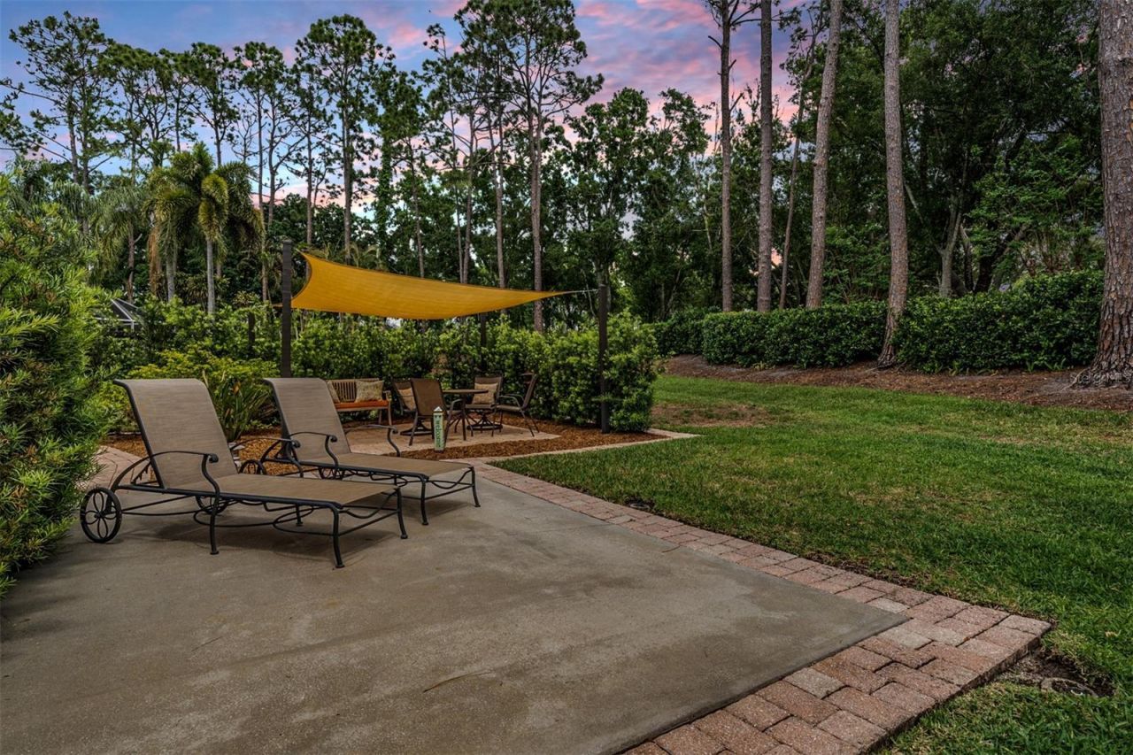 3596 Florian Terrace, Palm Harbor, FL 34685 Photo