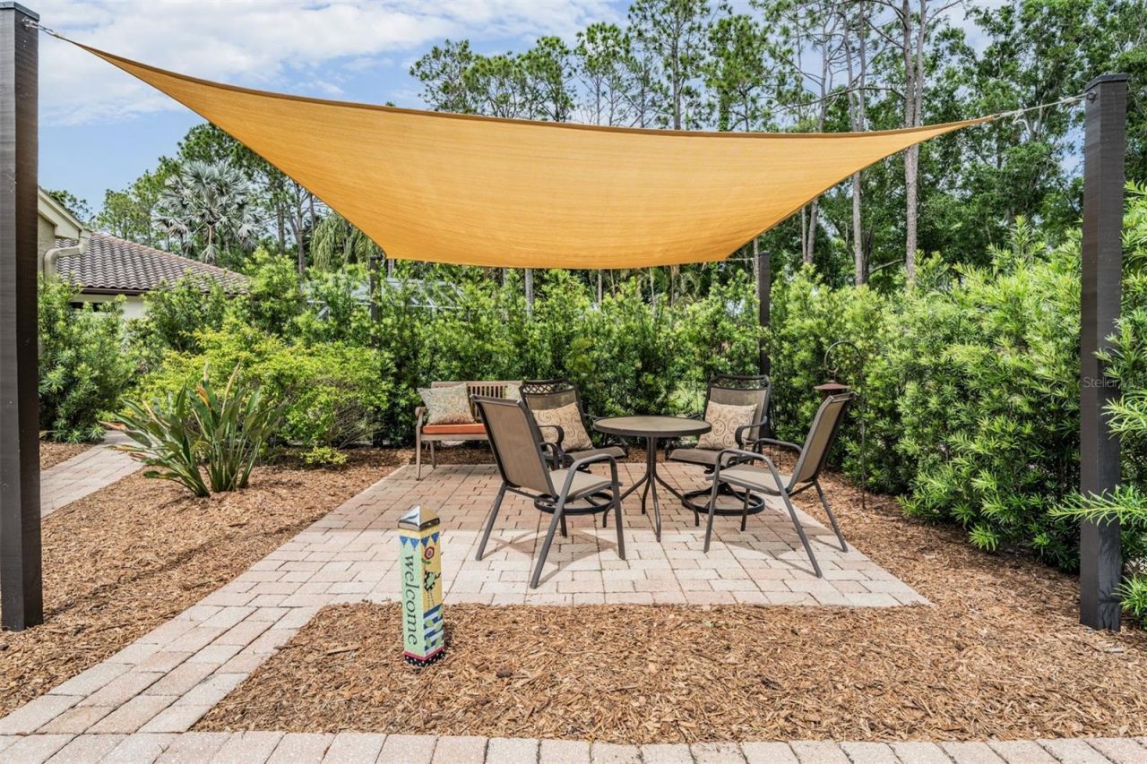 3596 Florian Terrace, Palm Harbor, FL 34685 Photo