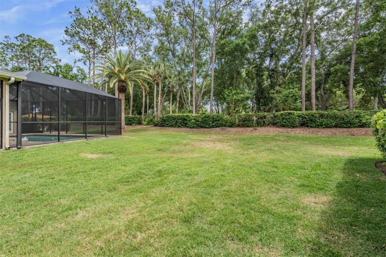 3596 Florian Terrace, Palm Harbor, FL 34685 Photo