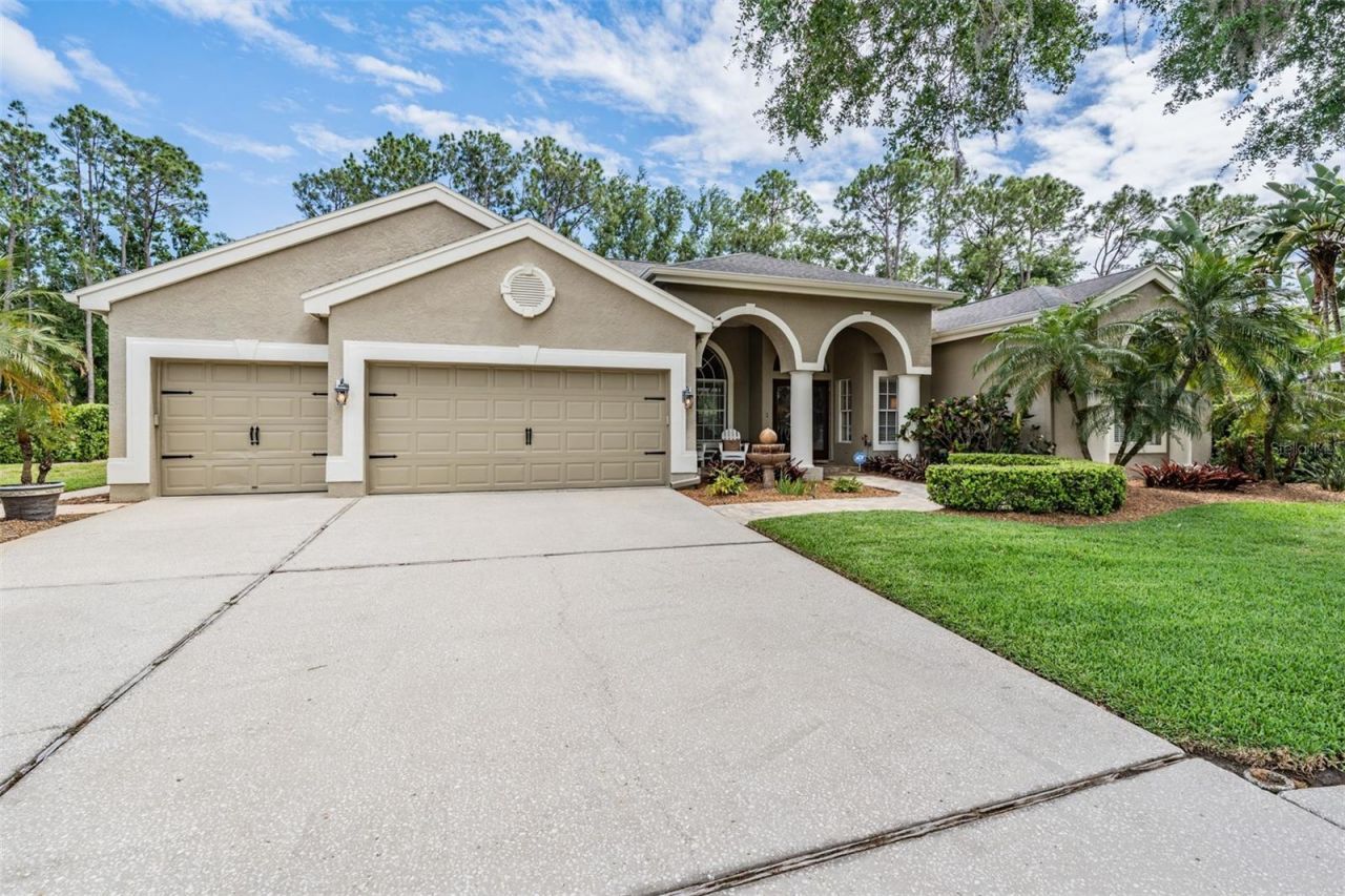 3596 Florian Terrace, Palm Harbor, FL 34685 Photo