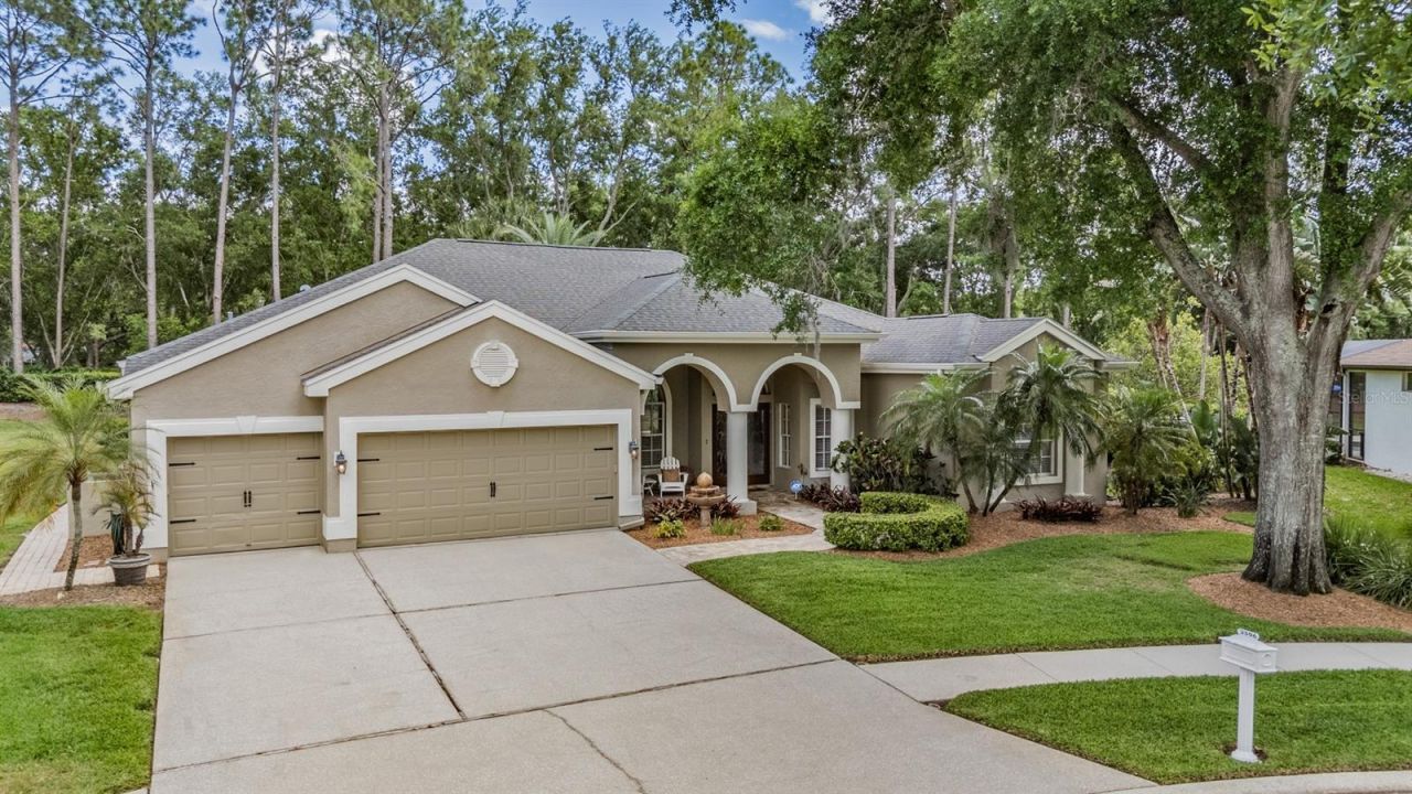 3596 Florian Terrace, Palm Harbor, FL 34685 Photo