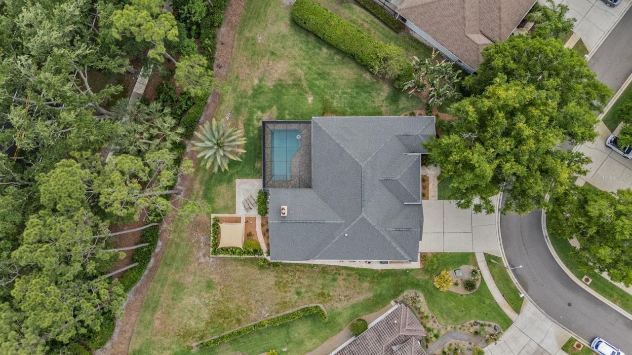 3596 Florian Terrace, Palm Harbor, FL 34685 Photo