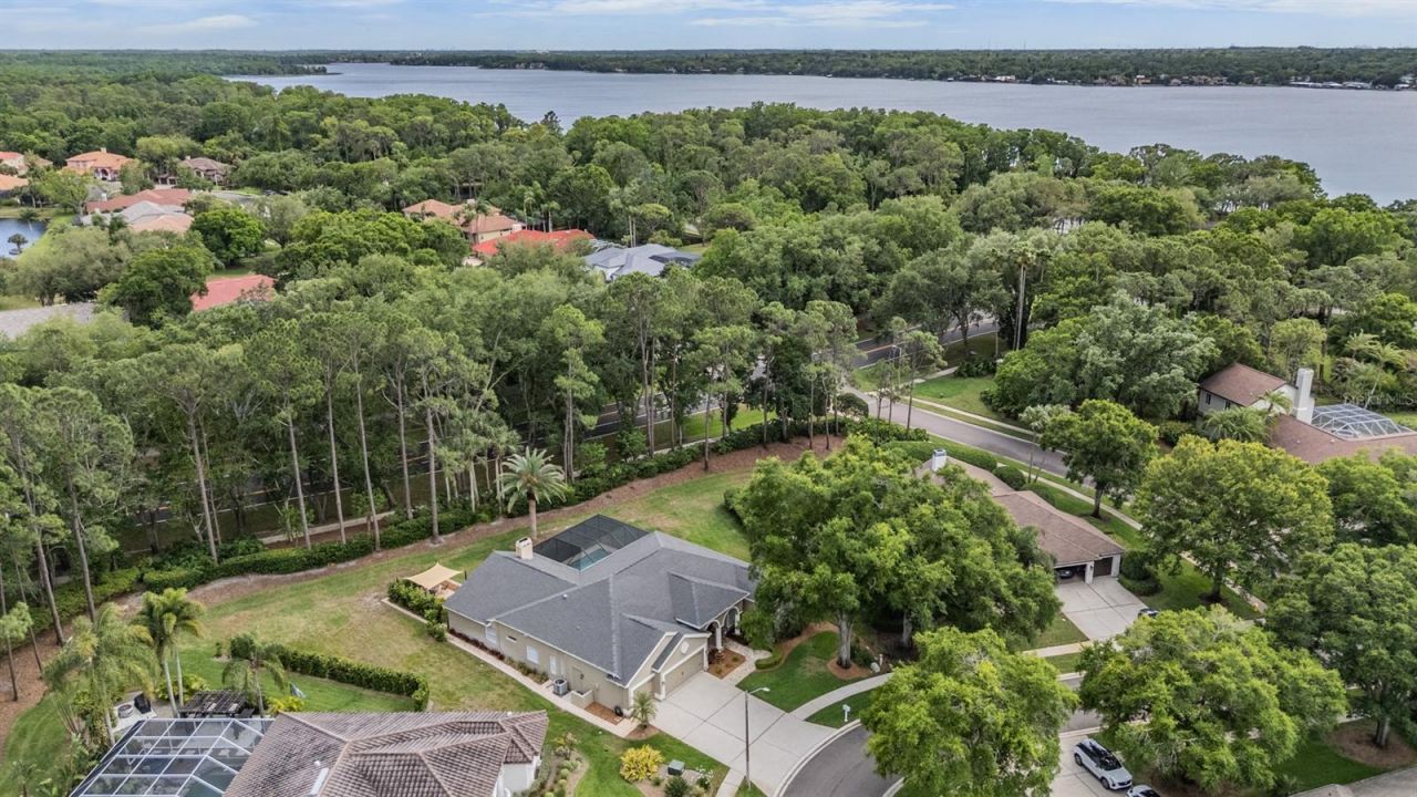 3596 Florian Terrace, Palm Harbor, FL 34685 Photo