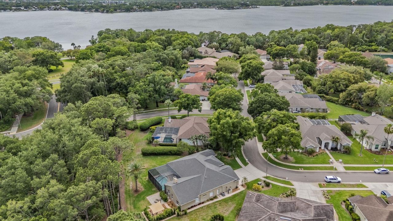 3596 Florian Terrace, Palm Harbor, FL 34685 Photo