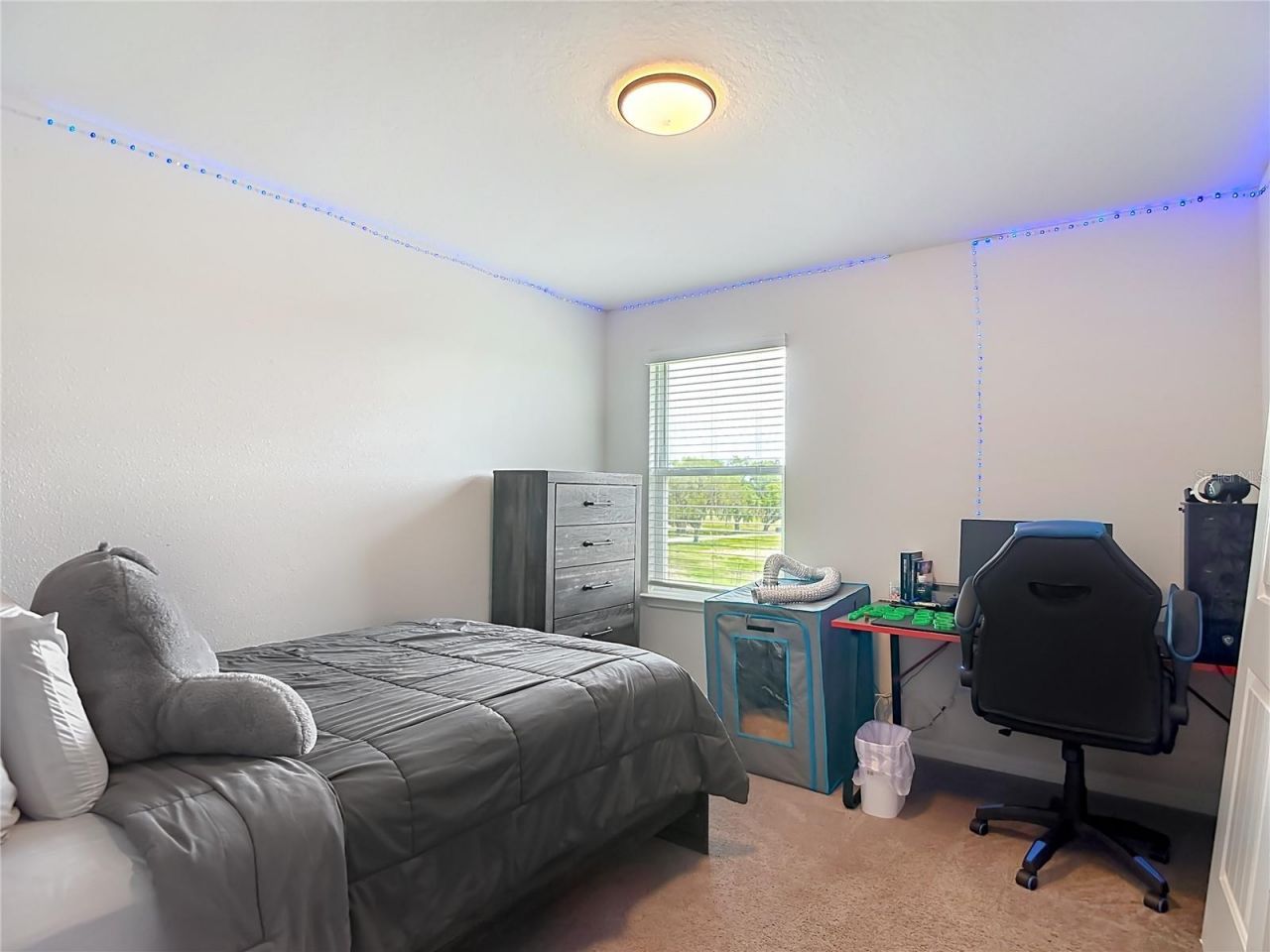 6136 Bradford Woods Drive, Zephyrhills, FL 33542 Photo