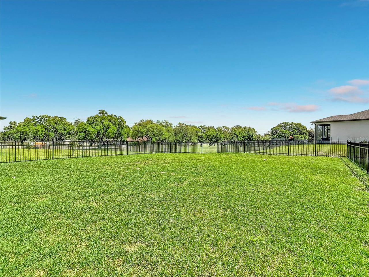 6136 Bradford Woods Drive, Zephyrhills, FL 33542 Photo