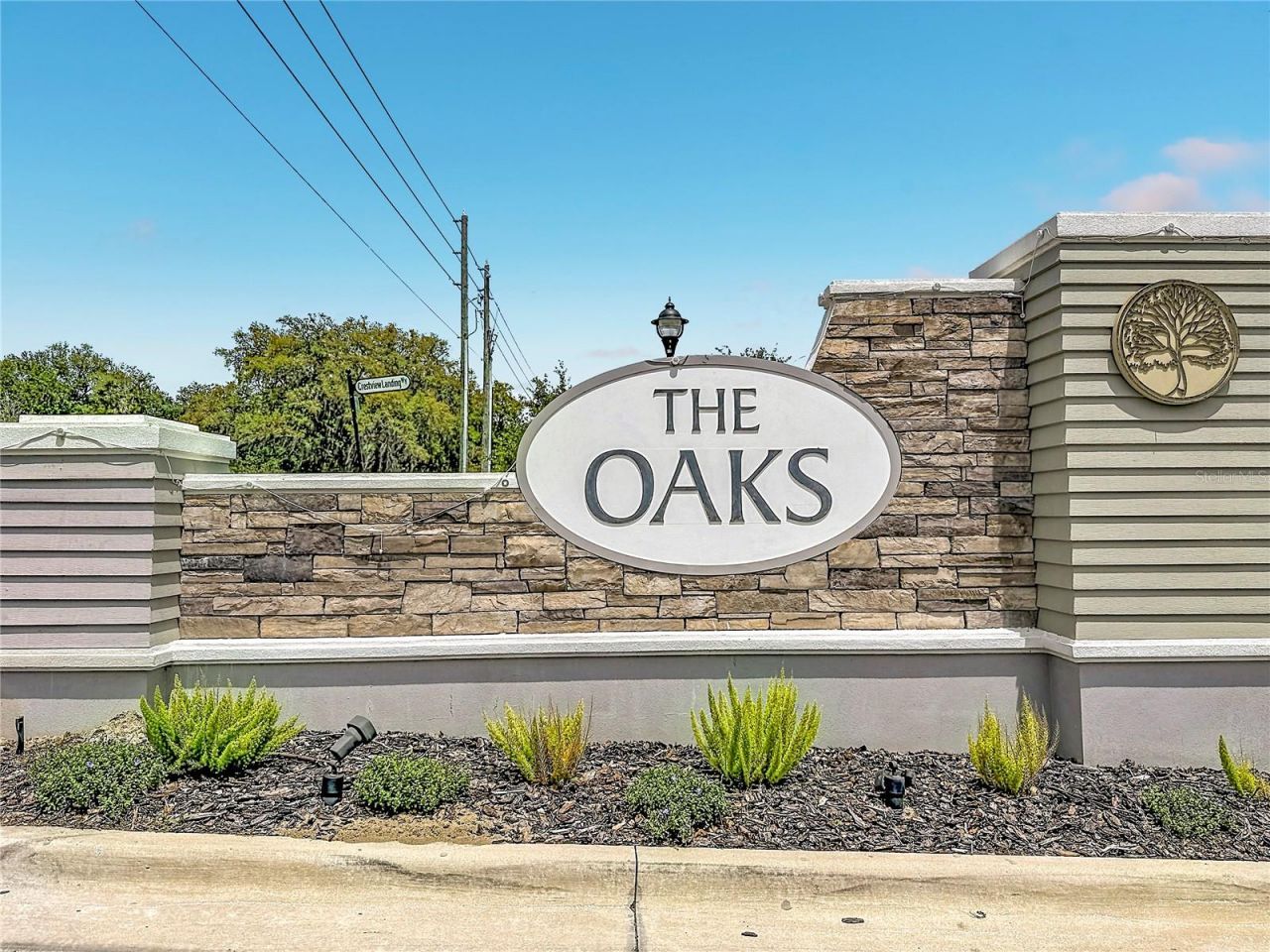 6136 Bradford Woods Drive, Zephyrhills, FL 33542 Photo