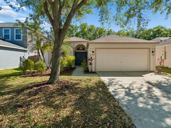 8311 TORRINGTON AVENUE , TAMPA, FL 33647