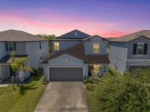 3703 GLOBE THISTLE DRIVE , TAMPA, FL 33619