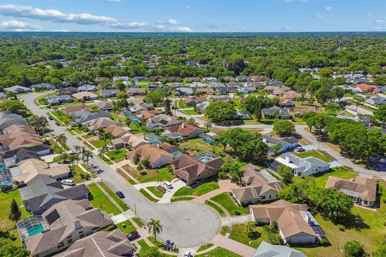 8723 Ashbury Drive, Hudson, FL 34667 Photo