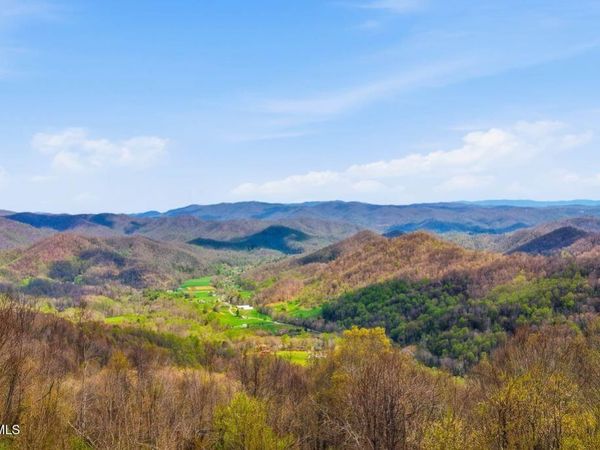 Tbd Log Cabin Lane, Roan Mountain, TN 37687