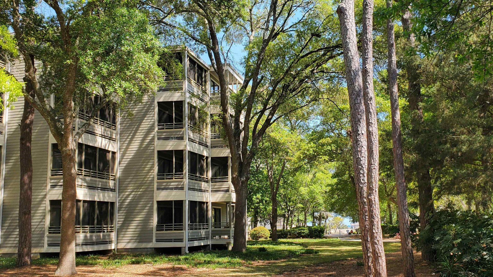 415 Ocean Creek Dr. Photo 19