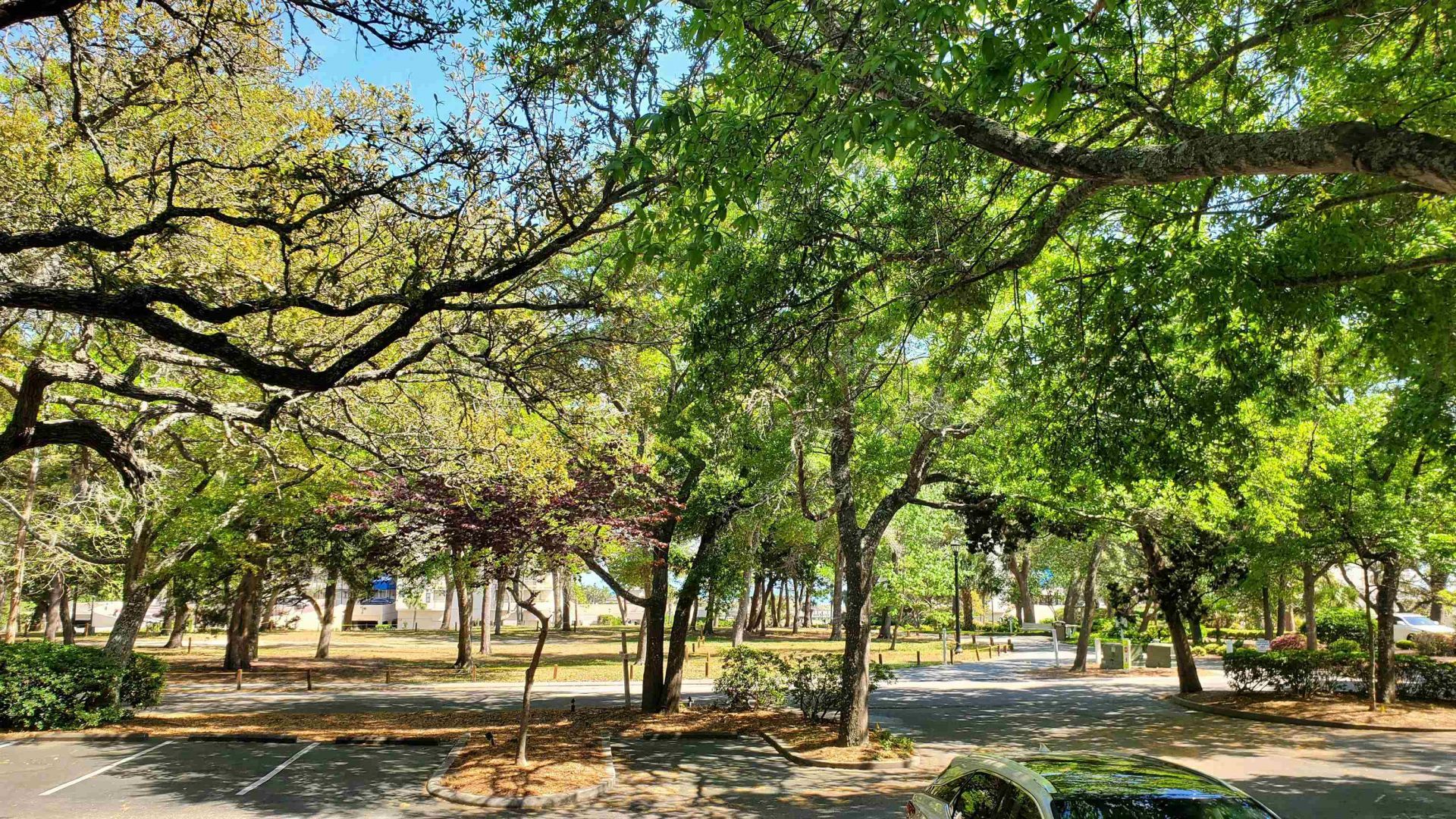 415 Ocean Creek Dr. Photo 21