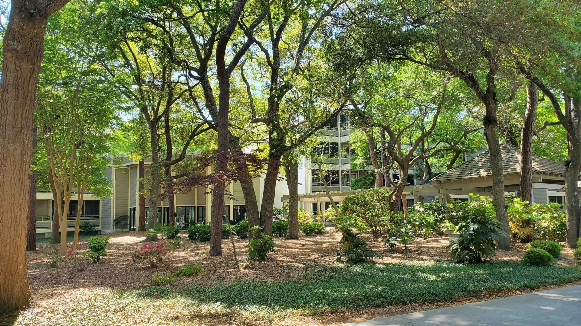 415 Ocean Creek Dr. Photo 23