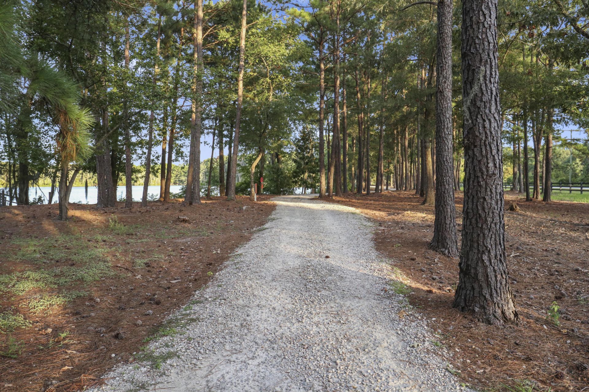 232 Summers Drive Photo 30