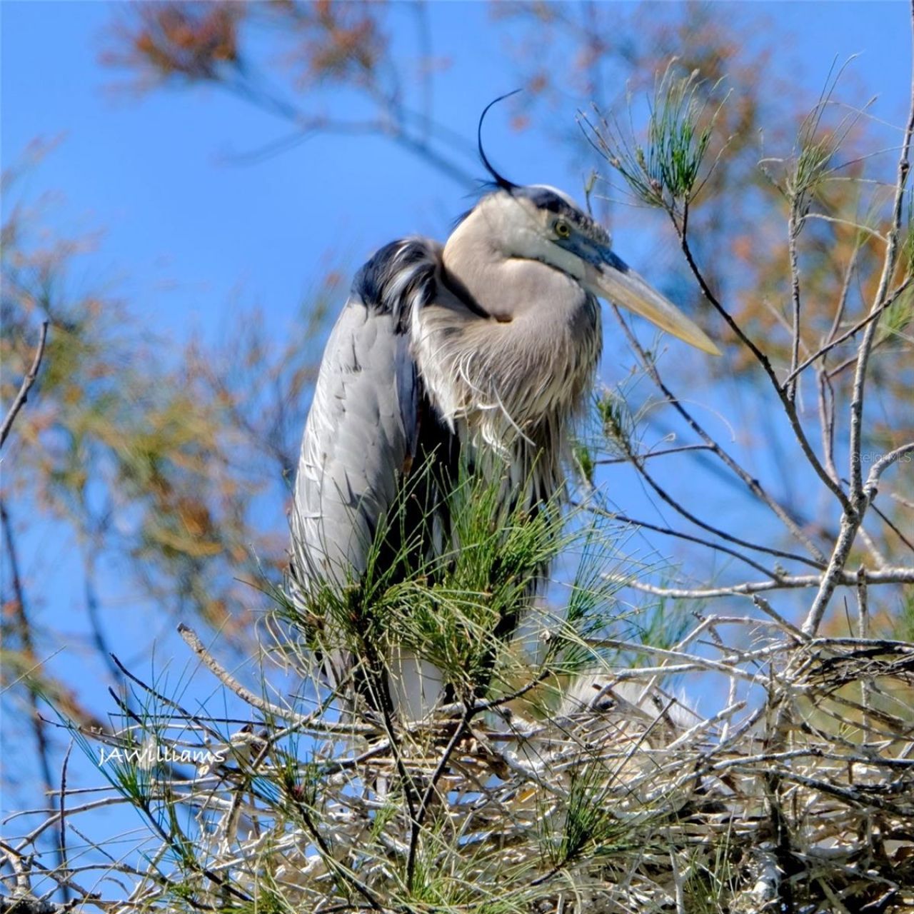 9505 Colonial Drive, Bradenton, FL 34210 Photo