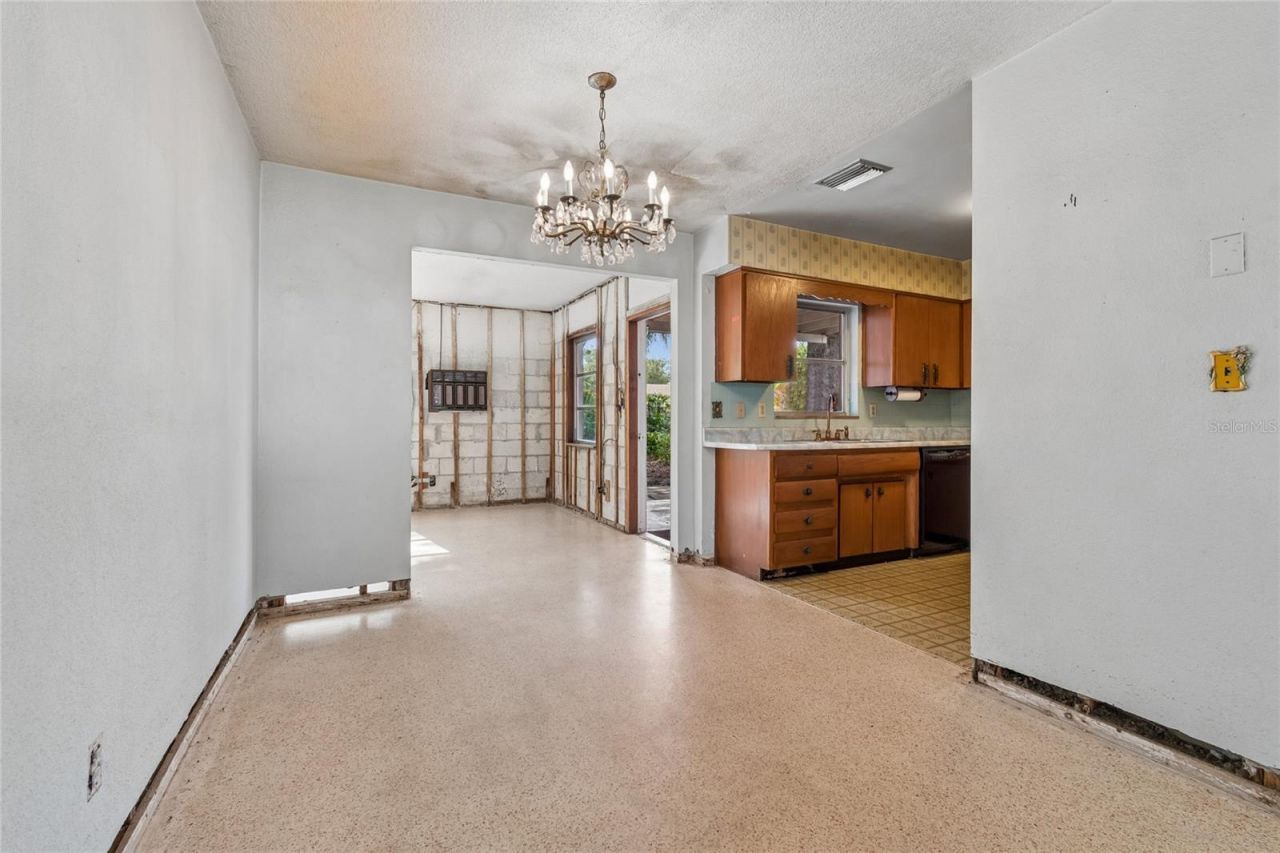 4703 S Renellie Drive, Tampa, FL 33611 Photo