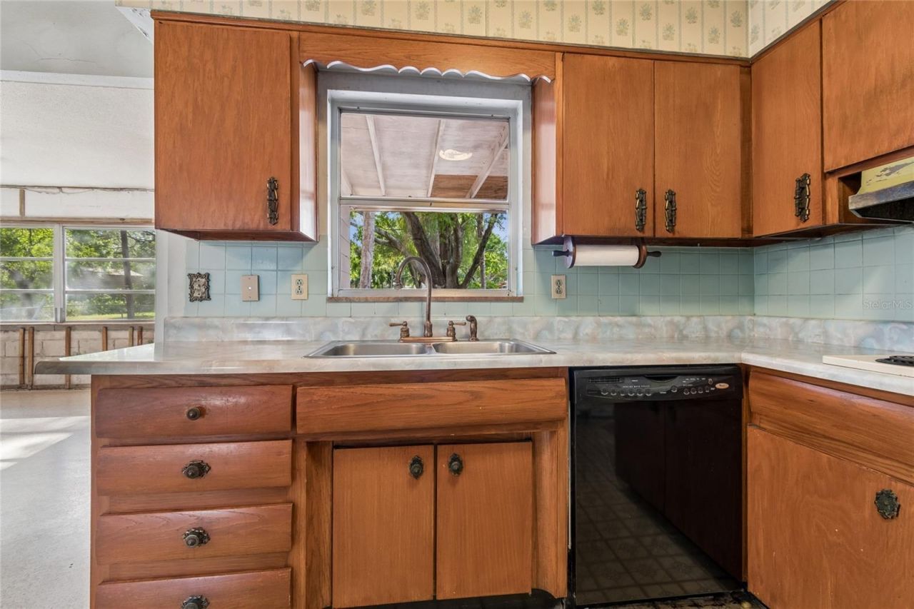 4703 S Renellie Drive, Tampa, FL 33611 Photo