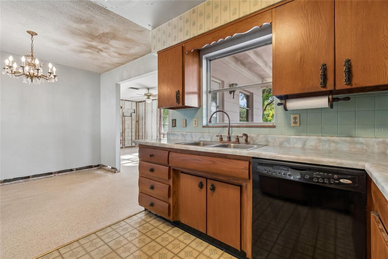 4703 S Renellie Drive, Tampa, FL 33611 Photo