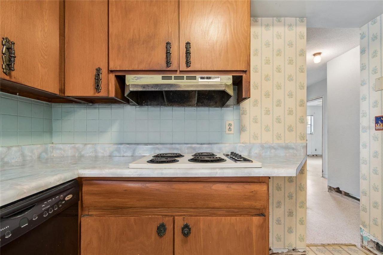 4703 S Renellie Drive, Tampa, FL 33611 Photo