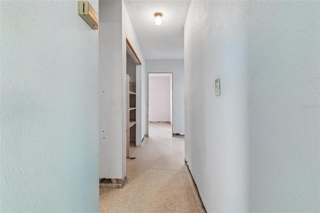 4703 S Renellie Drive, Tampa, FL 33611 Photo