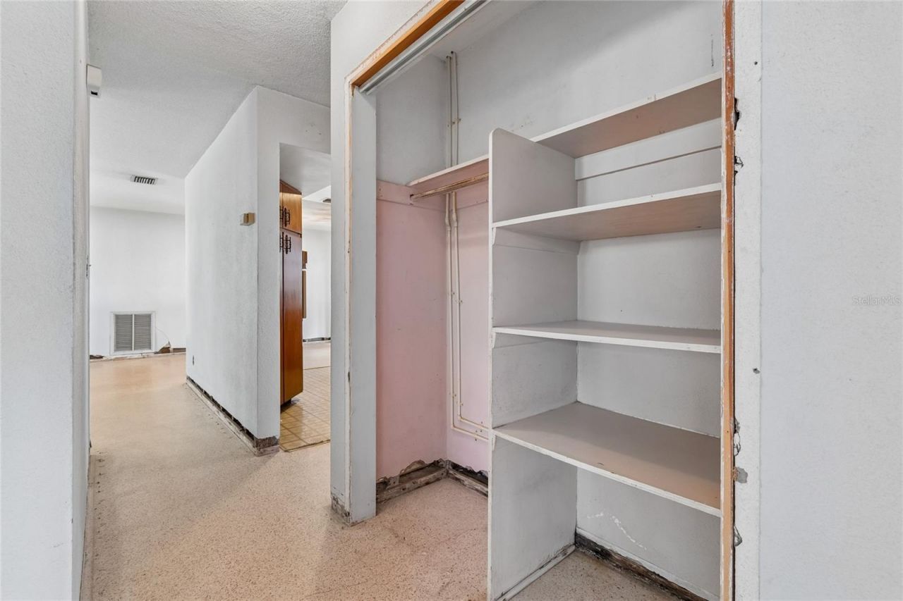 4703 S Renellie Drive, Tampa, FL 33611 Photo