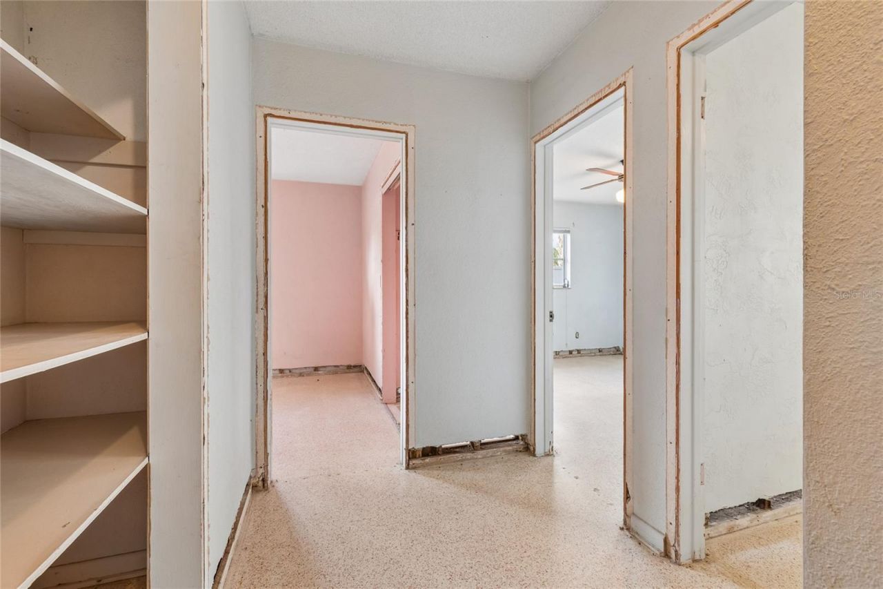 4703 S Renellie Drive, Tampa, FL 33611 Photo