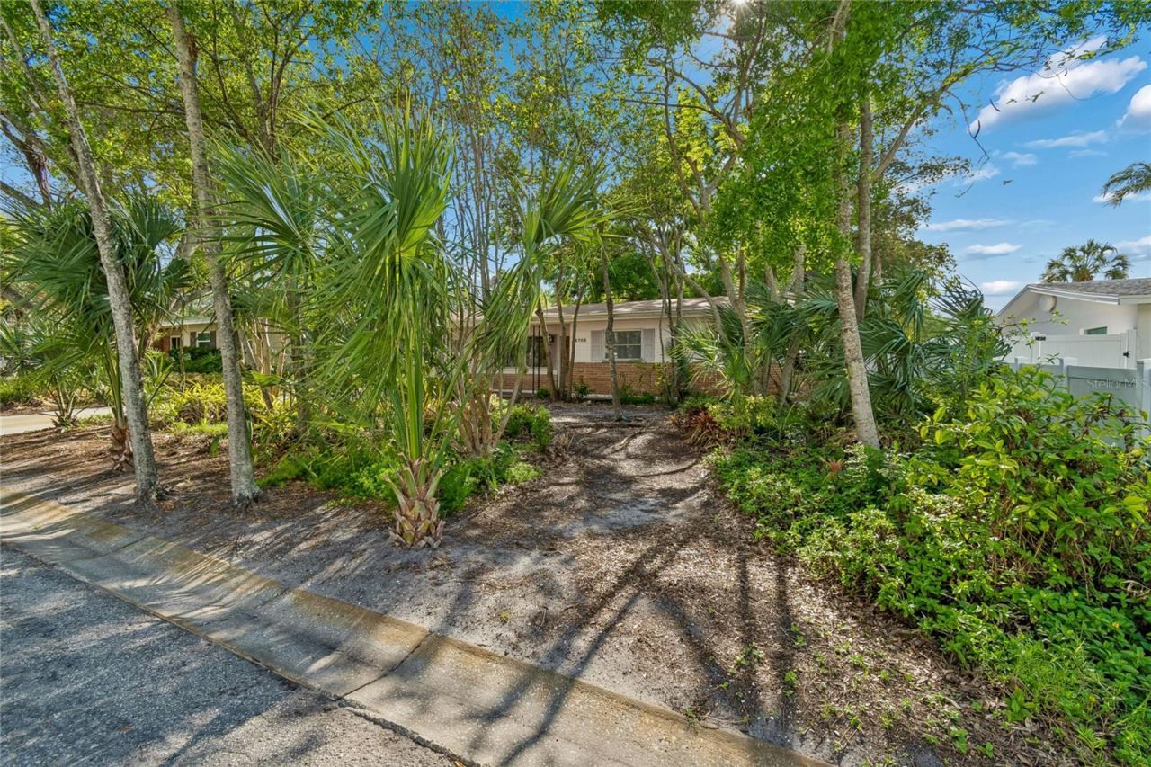 4703 S Renellie Drive, Tampa, FL 33611 Photo